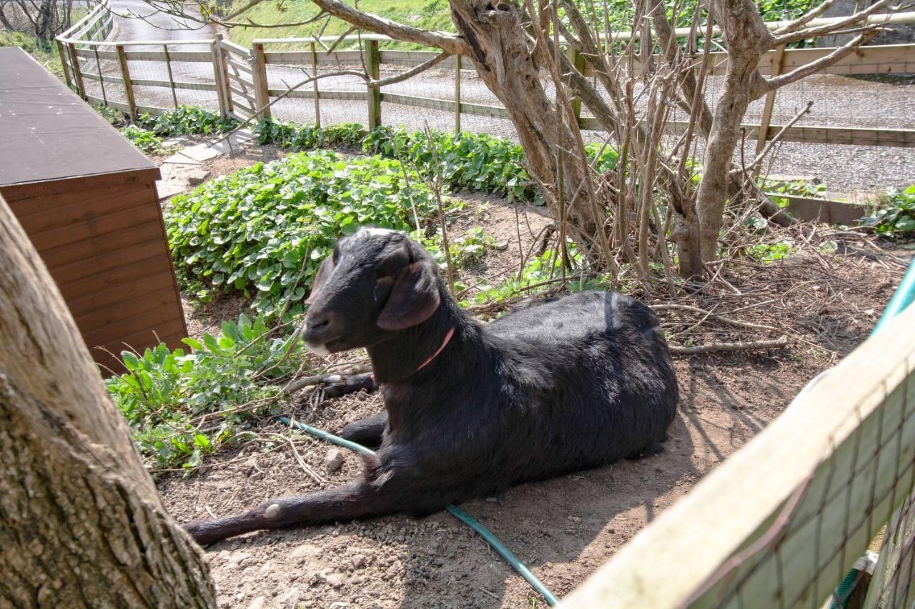 ラネリーBronllys Farm Coastal Self-Cateringアパートメント エクステリア 写真