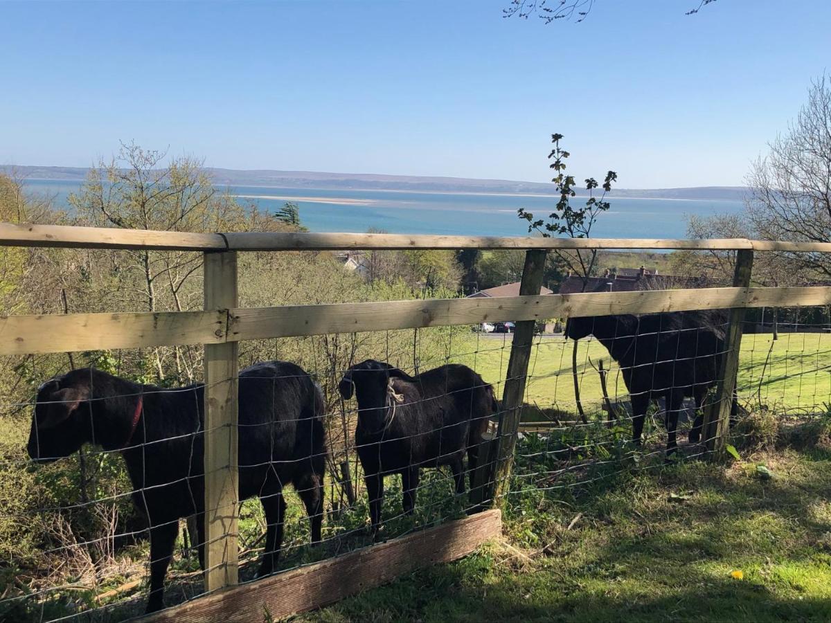 ラネリーBronllys Farm Coastal Self-Cateringアパートメント エクステリア 写真