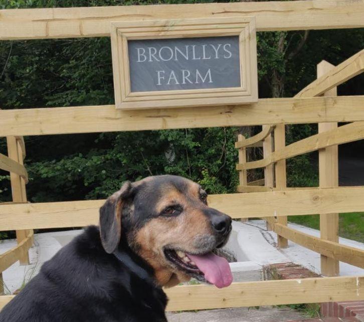 ラネリーBronllys Farm Coastal Self-Cateringアパートメント エクステリア 写真
